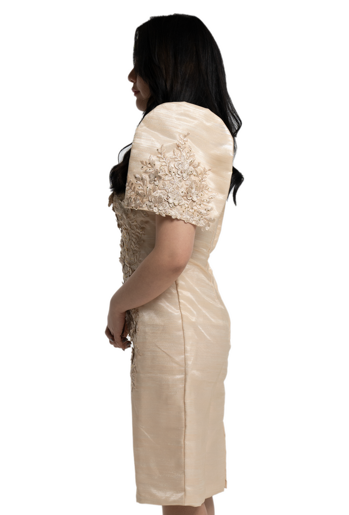 modern filipiniana dress